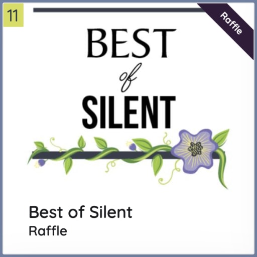 New this Year- the Best of Silent Raffle 